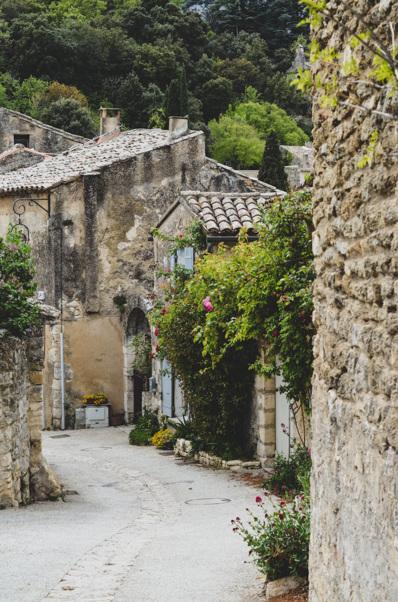 organiser mariage en provence