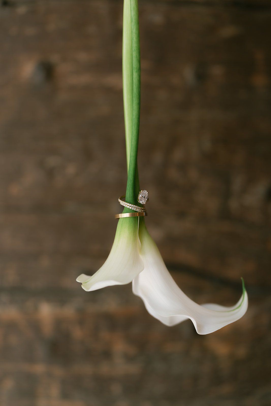 wedding planner luberon