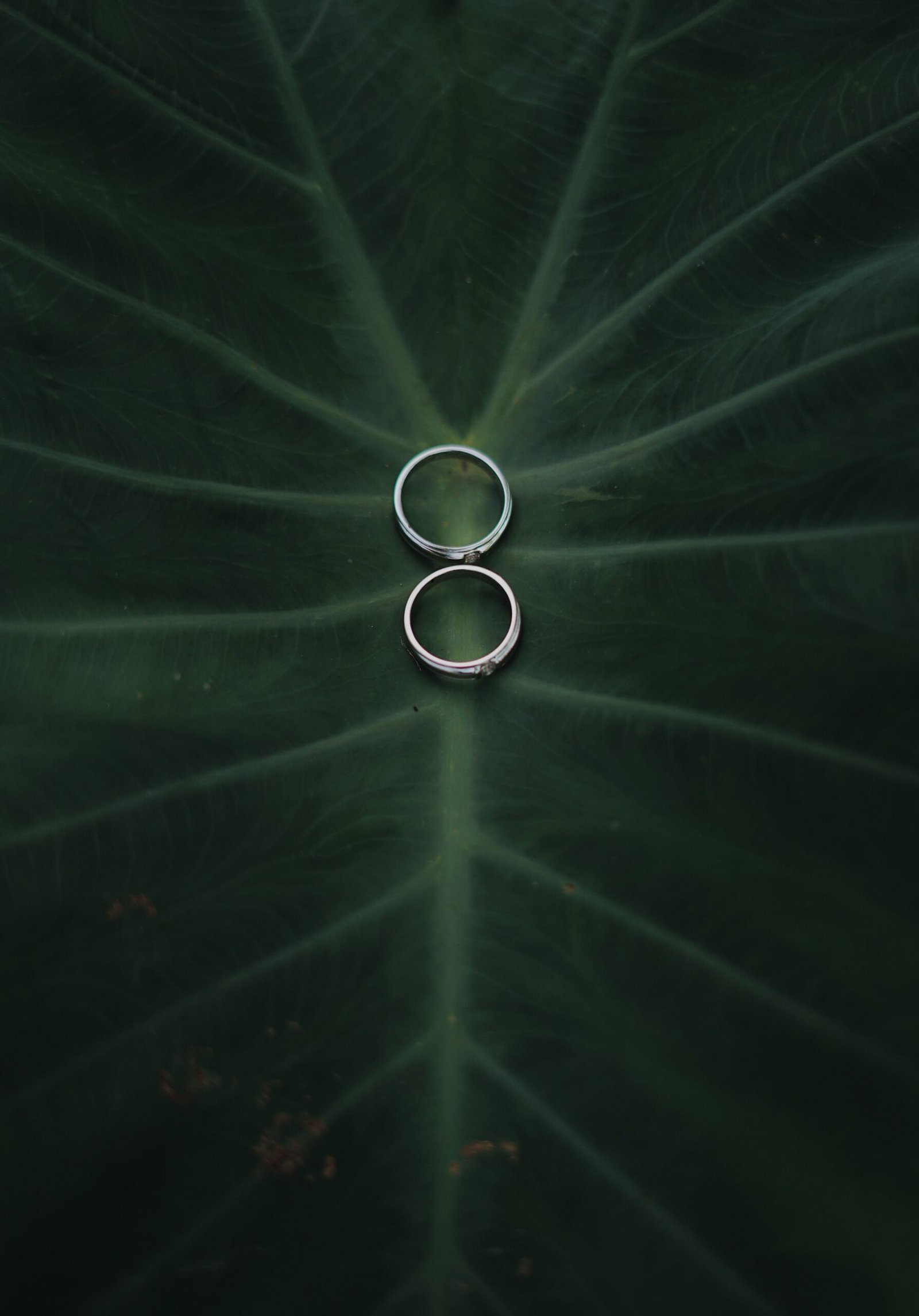 mariage écoresponsable